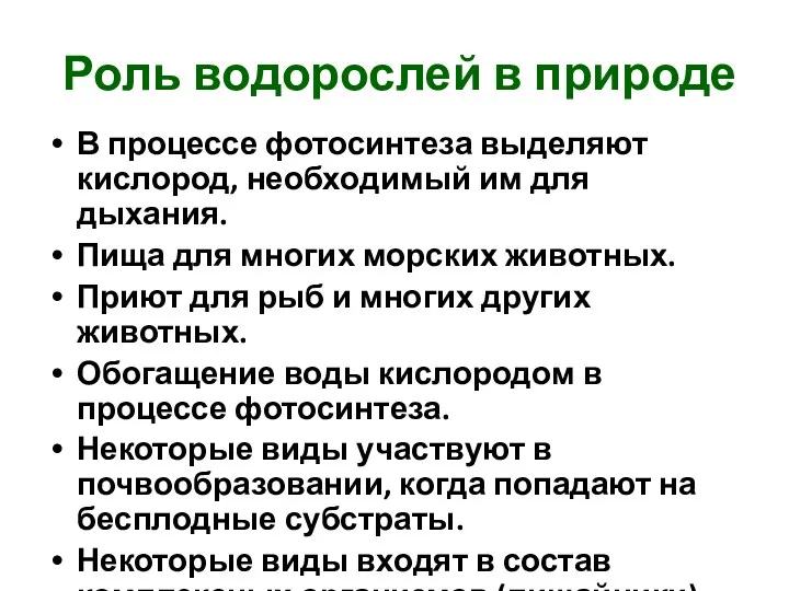 Роль водорослей в природе В процессе фотосинтеза выделяют кислород, необходимый