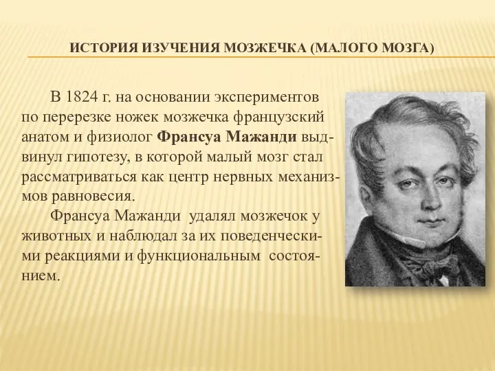 ИСТОРИЯ ИЗУЧЕНИЯ МОЗЖЕЧКА (МАЛОГО МОЗГА) В 1824 г. на основании