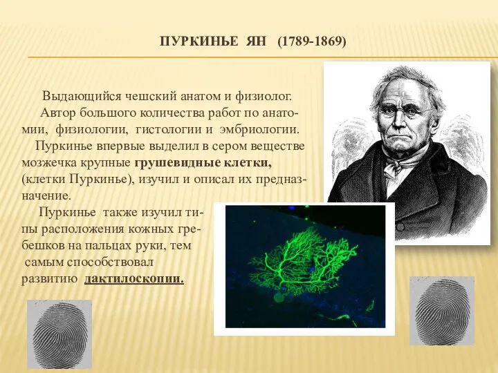 ПУРКИНЬЕ ЯН (1789-1869) Выдающийся чешский анатом и физиолог. Автор большого
