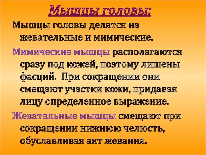 Мышцы головы: Мышцы головы делятся на жевательные и мимические. Мимические