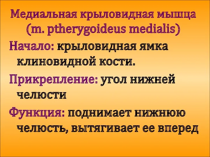 Медиальная крыловидная мышца (m. ptherygoideus medialis) Начало: крыловидная ямка клиновидной