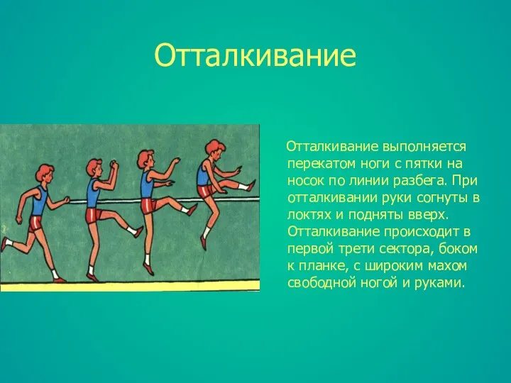 Отталкивание Отталкивание выполняется перекатом ноги с пятки на носок по