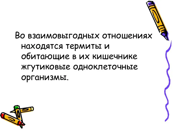 Во взаимовыгодных отношениях находятся термиты и обитающие в их кишечнике жгутиковые одноклеточные организмы.