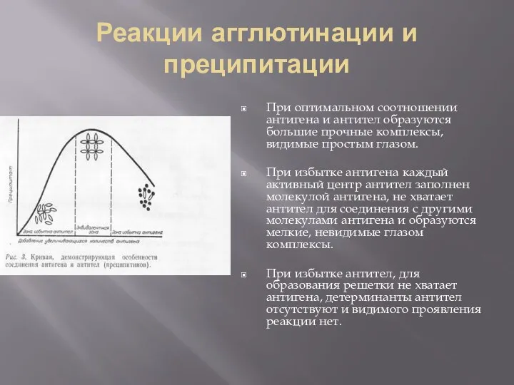 Реакции агглютинации и преципитации При оптимальном соотношении антигена и антител