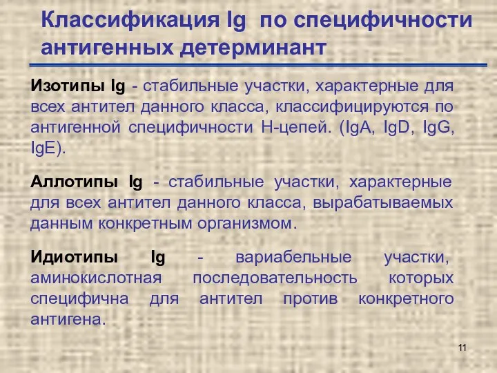 Классификация Ig по специфичности антигенных детерминант Изотипы Ig - стабильные участки, характерные для