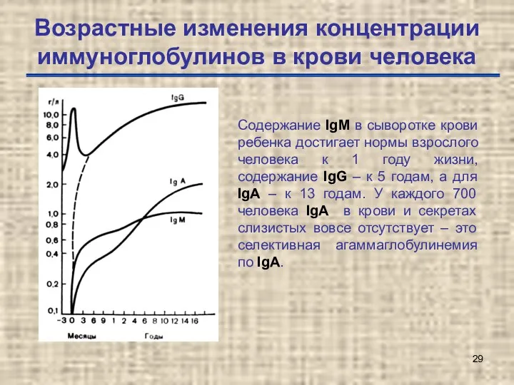 Возрастные изменения концентрации иммуноглобулинов в крови человека Содержание IgM в сыворотке крови ребенка