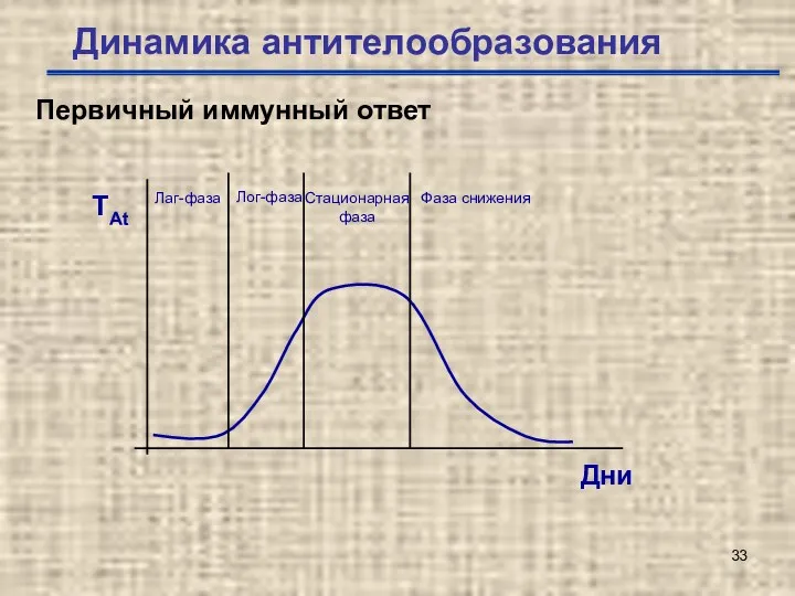 Динамика антителообразования Первичный иммунный ответ ТAt Дни Лаг-фаза Лог-фаза Стационарная фаза Фаза снижения