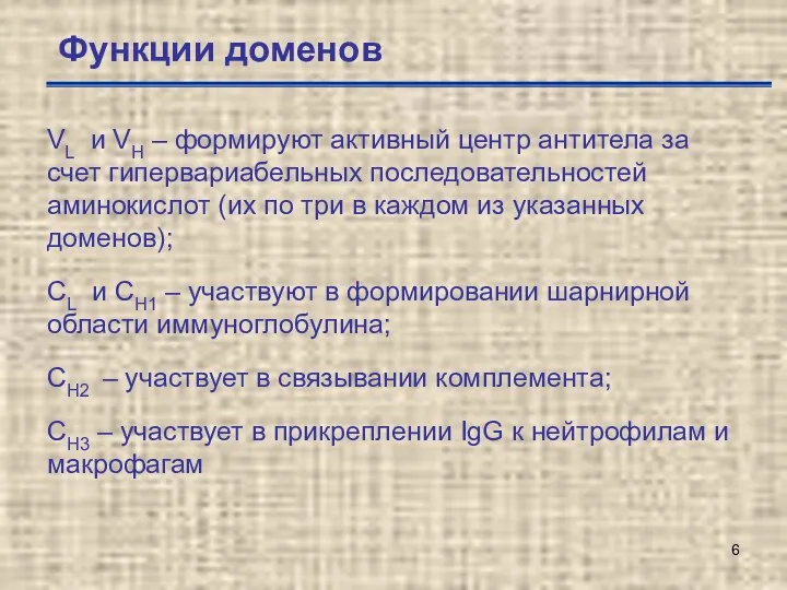 Функции доменов VL и VH – формируют активный центр антитела за счет гипервариабельных