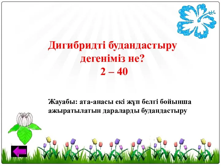 Дигибридті будандастыру дегеніміз не? 2 – 40 Жауабы: ата-анасы екі жұп белгі бойынша ажыратылатын дараларды будандастыру