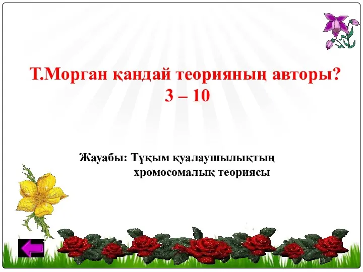 Т.Морган қандай теорияның авторы? 3 – 10 Жауабы: Тұқым қуалаушылықтың хромосомалық теориясы