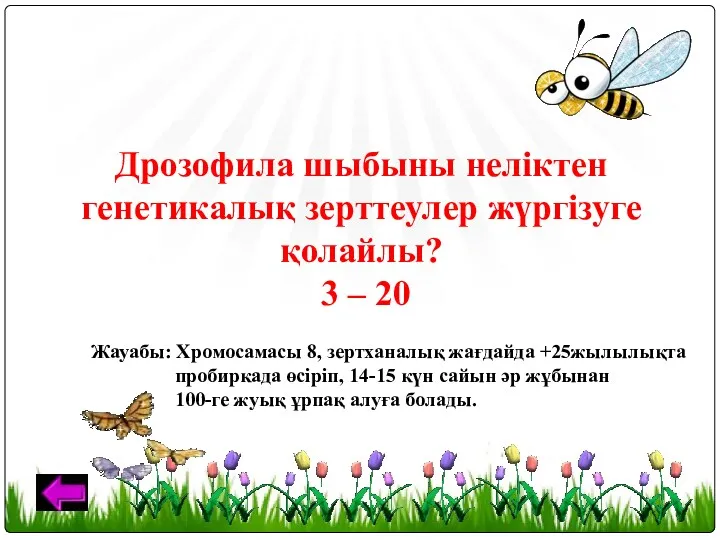 Дрозофила шыбыны неліктен генетикалық зерттеулер жүргізуге қолайлы? 3 – 20