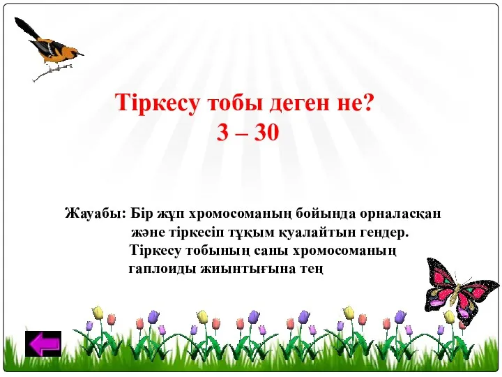 Тіркесу тобы деген не? 3 – 30 Жауабы: Бір жұп