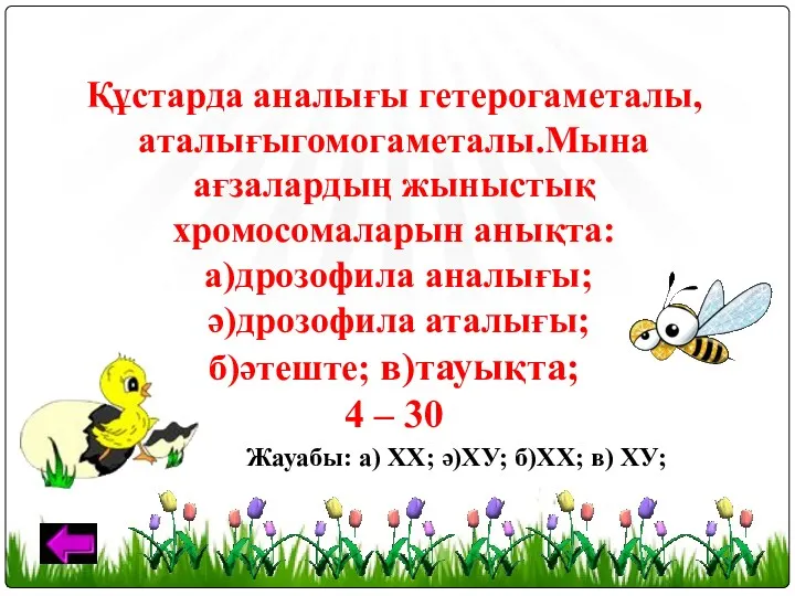 Дрозофилада, сүтқорекотерогаметалы. Құстарда аналығы гетерогаметалы, аталығыгомогаметалы.Мына ағзалардың жыныстық хромосомаларын анықта: