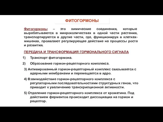 Фитогормоны – это химические соединения, которые вырабатываются в микроколичествах в