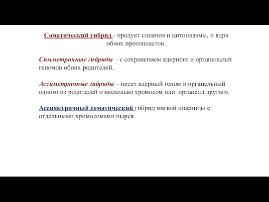 Соматический гибрид - продукт слияния и цитоплазмы, и ядра обоих