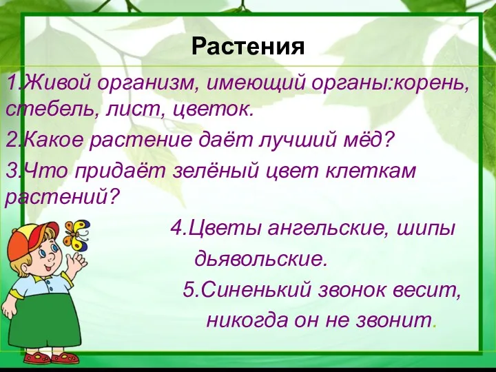 Растения 1.Живой организм, имеющий органы:корень, стебель, лист, цветок. 2.Какое растение