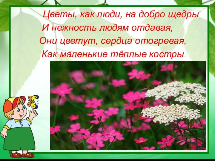 Цветы, как люди, на добро щедры И нежность людям отдавая,