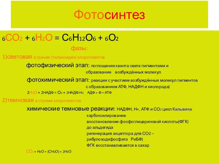 Фотосинтез 6СО2 + 6Н2О = С6Н12О6 + 6О2 фазы: 1)световая