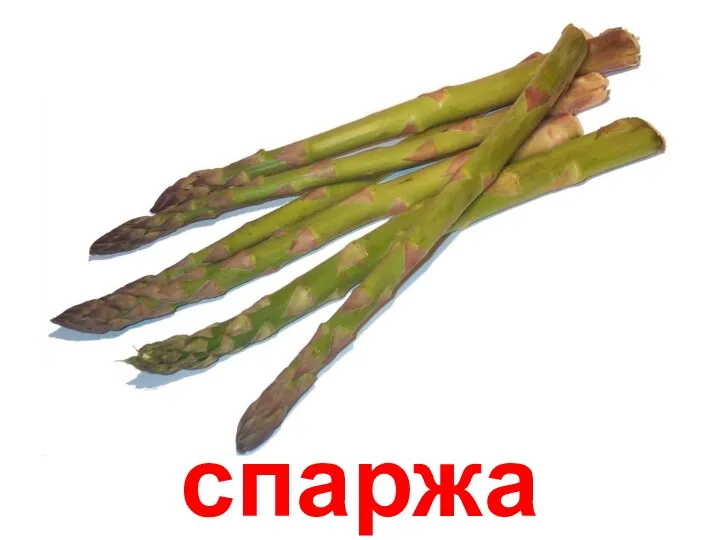 спаржа