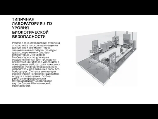 ТИПИЧНАЯ ЛАБОРАТОРИЯ 3-ГО УРОВНЯ БИОЛОГИЧЕСКОЙ БЕЗОПАСНОСТИ Рабочая зона лаборатории отделена