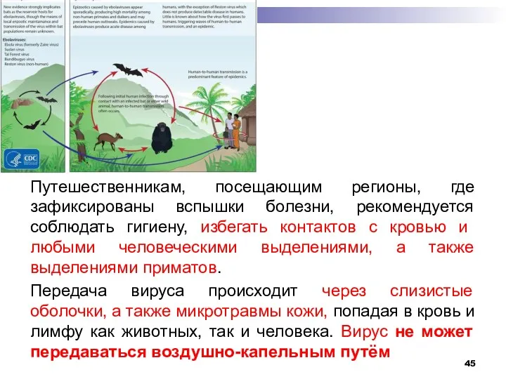 Путешественникам, посещающим регионы, где зафиксированы вспышки болезни, рекомендуется соблюдать гигиену,