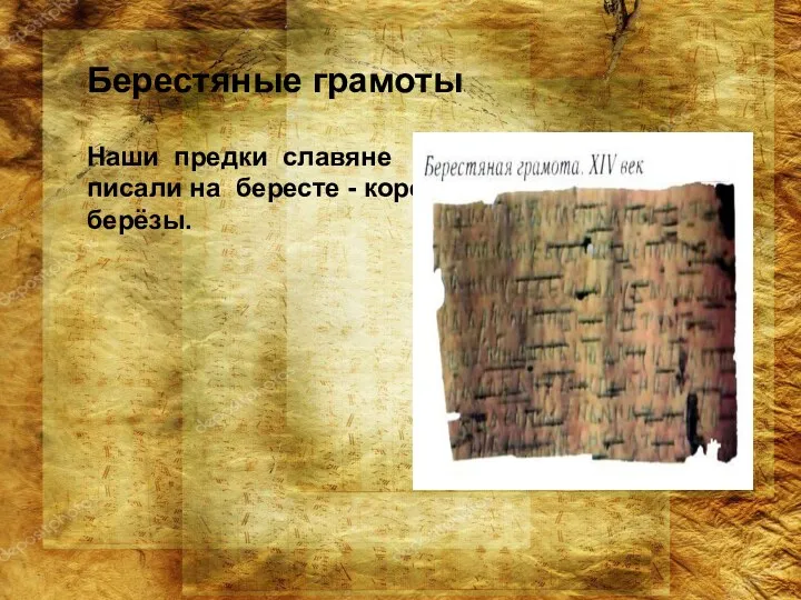 Наши предки славяне писали на бересте - коре берёзы. Берестяные грамоты
