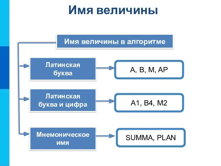 Имя величины в алгоритме Латинская буква A, B, M, AP Латинская буква и