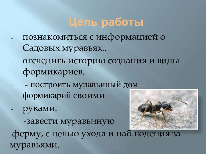 Цель работы познакомиться с информацией о Садовых муравьях., отследить историю