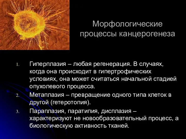 Морфологические процессы канцерогенеза Гиперплазия – любая регенерация. В случаях, когда она происходит в