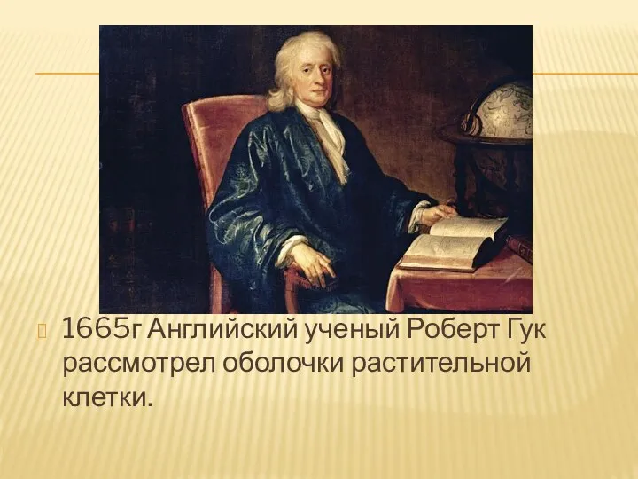 1665г Английский ученый Роберт Гук рассмотрел оболочки растительной клетки.