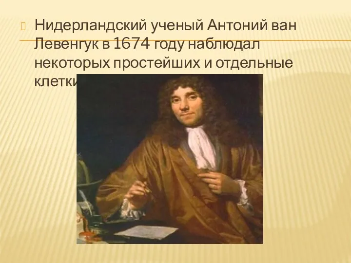 Нидерландский ученый Антоний ван Левенгук в 1674 году наблюдал некоторых простейших и отдельные клетки животных