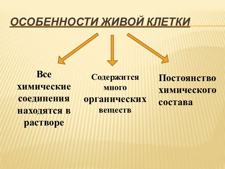 ОСОБЕННОСТИ ЖИВОЙ КЛЕТКИ Все химические соединения находятся в растворе Содержится много органических веществ Постоянство химического состава