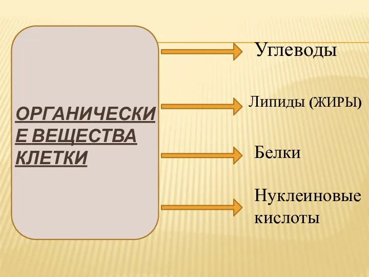 ОРГАНИЧЕСКИЕ ВЕЩЕСТВА КЛЕТКИ Углеводы Липиды (ЖИРЫ) Белки Нуклеиновые кислоты