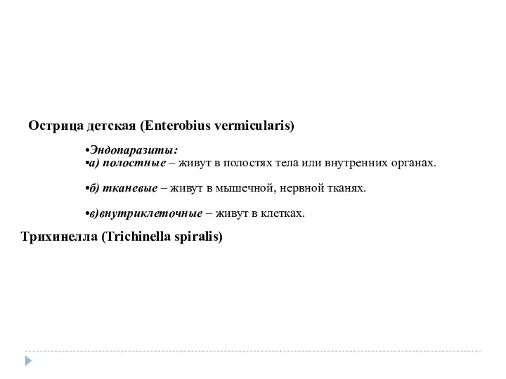 Эндопаразиты: а) полостные – живут в полостях тела или внутренних