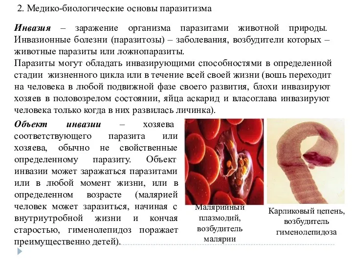 Инвазия – заражение организма паразитами животной природы. Инвазионные болезни (паразитозы)