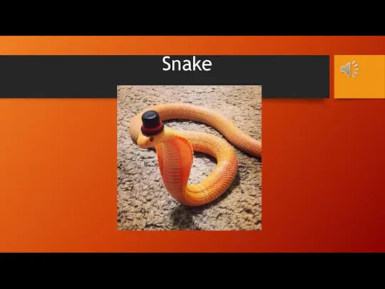 Snake