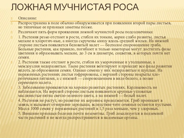 ЛОЖНАЯ МУЧНИСТАЯ РОСА Описание: Распространена в поле обычно обнаруживается при