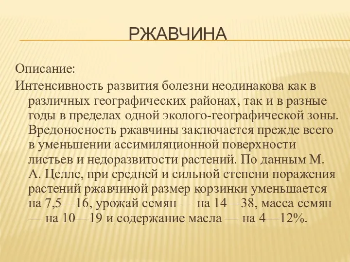 РЖАВЧИНА Описание: Интенсивность развития болезни неодинакова как в различных географических