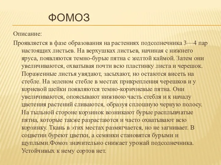 ФОМОЗ Описание: Проявляется в фазе образования на растениях подсолнечника 3—4