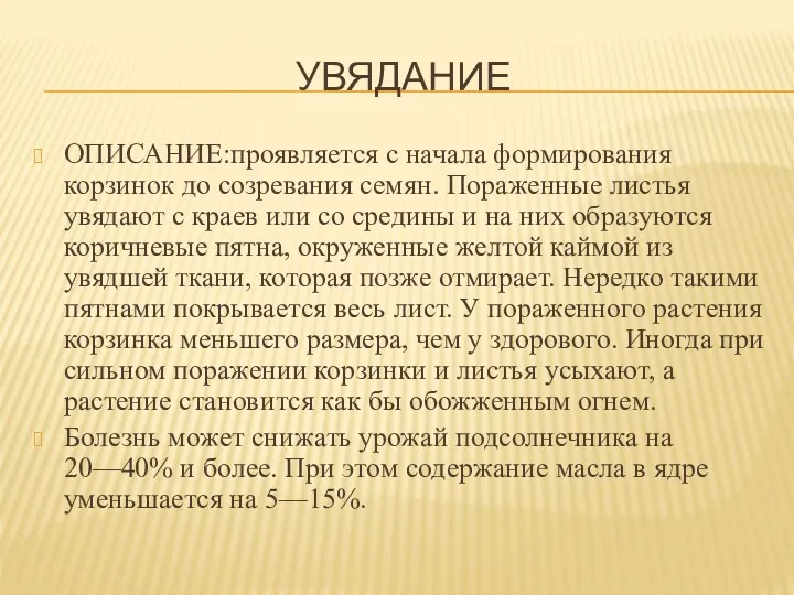 УВЯДАНИЕ ОПИСАНИЕ:проявляется с начала формирования корзинок до созревания семян. Пораженные