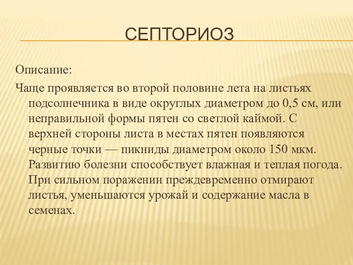 СЕПТОРИОЗ Описание: Чаще проявляется во второй половине лета на листьях