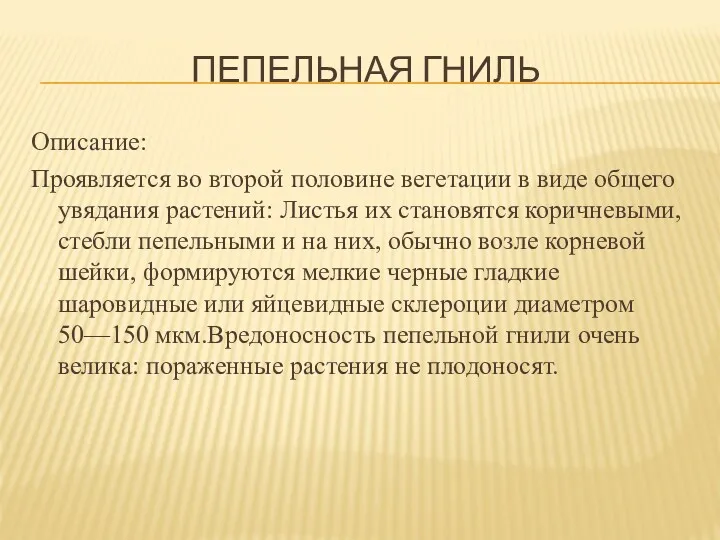 ПЕПЕЛЬНАЯ ГНИЛЬ Описание: Проявляется во второй половине вегетации в виде