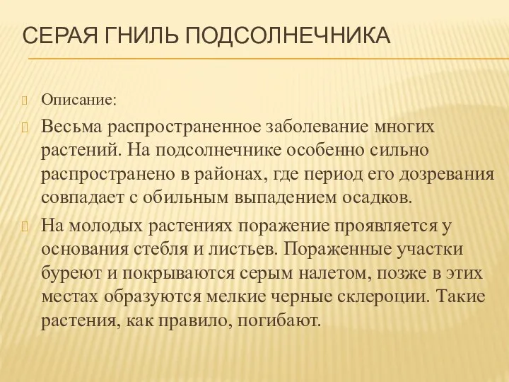 СЕРАЯ ГНИЛЬ ПОДСОЛНЕЧНИКА Описание: Весьма распространенное заболевание многих растений. На