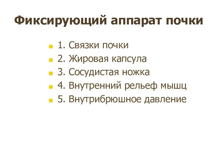 Фиксирующий аппарат почки 1. Связки почки 2. Жировая капсула 3.