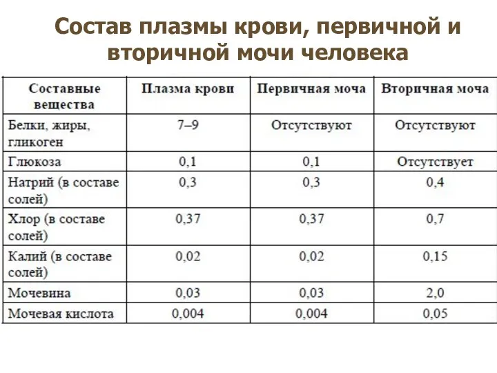 Состав плазмы крови, первичной и вторичной мочи человека