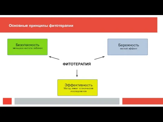 Основные принципы фитотерапии Безопасность меньшая частота побочек Эффективность Метод имеет клинические исследования Бережность мягкий эффект ФИТОТЕРАПИЯ