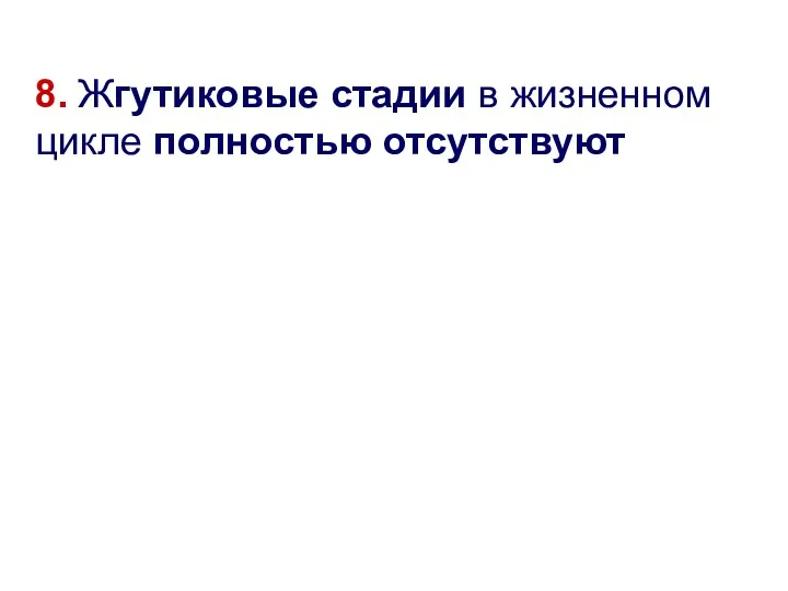 8. Жгутиковые стадии в жизненном цикле полностью отсутствуют