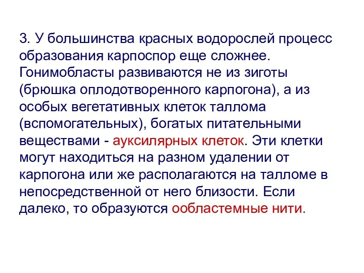 3. У большинства красных водорослей процесс образования карпоспор еще сложнее.