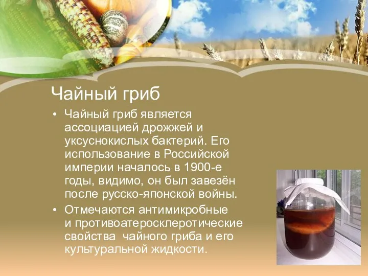 Чайный гриб Чайный гриб является ассоциацией дрожжей и уксуснокислых бактерий.