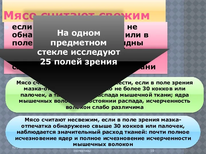 Мясо считают свежим если в мазках-отпечатках не обнаружена микрофлора или